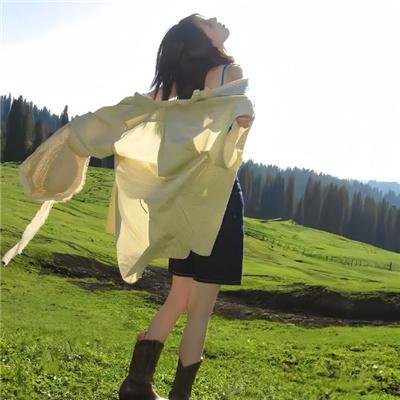 立花登青春备忘录 海报